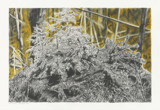 "Miniature" by Erik Odijk, a drawing of a wild landscape with layered textures and traditional style reminiscent of Jan Toorop's Symbolism period."